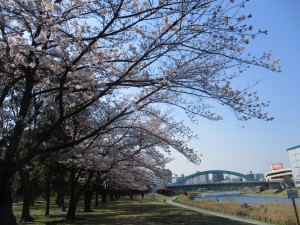 IMG_6647