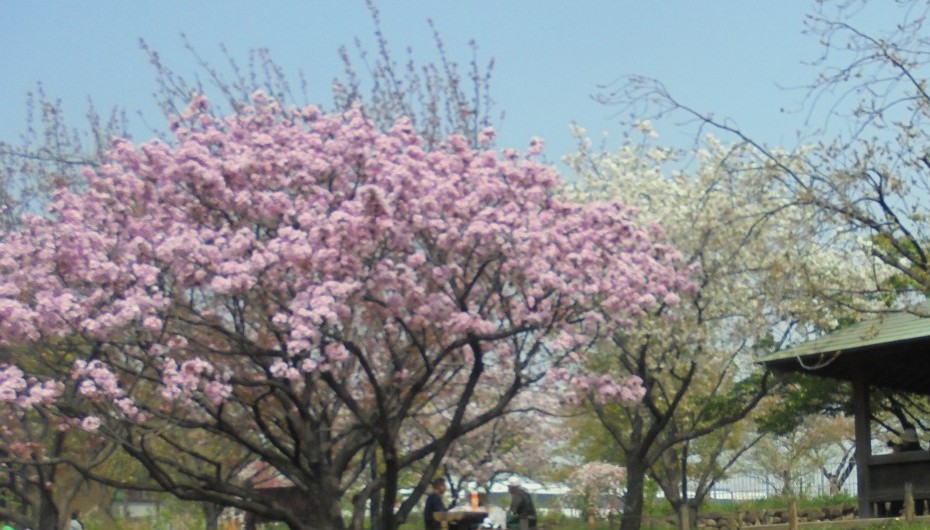 東新小岩教室　春休み