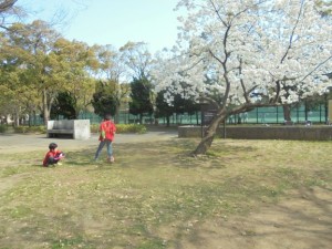 DSC03908