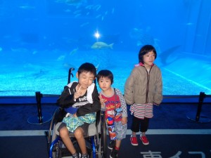 1月美ら海水族館19