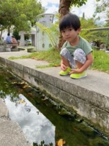 かいせい公園魚