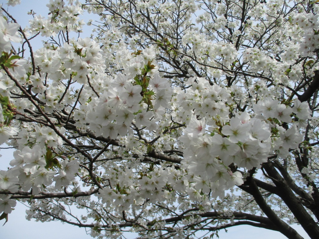 2022/04/25 江戸川教室