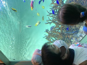 IMG_8460