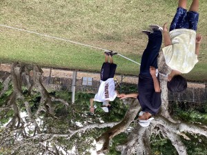 IMG_0540