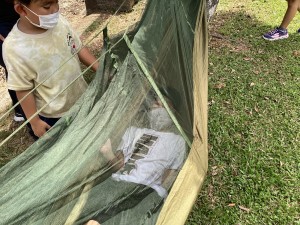 IMG_0592