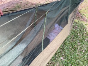 IMG_0652