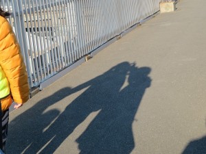 IMG_3667