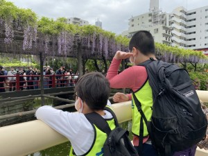 IMG_1318