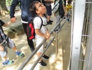 IMG_0028 (2)