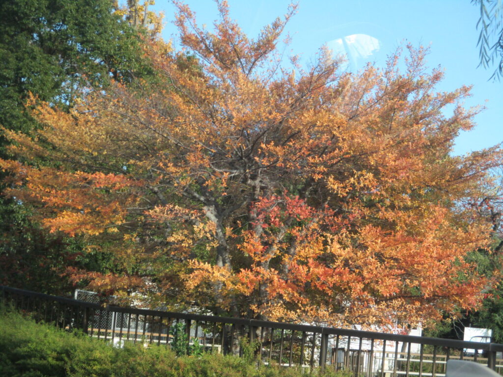 2025/12/29　江戸川教室