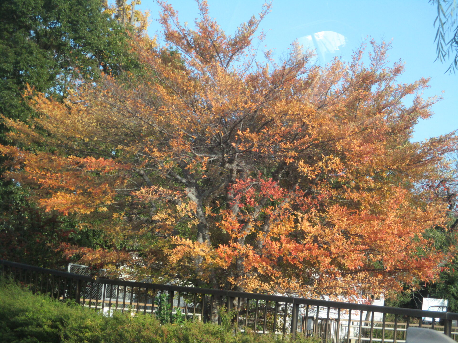 2025/12/29　江戸川教室