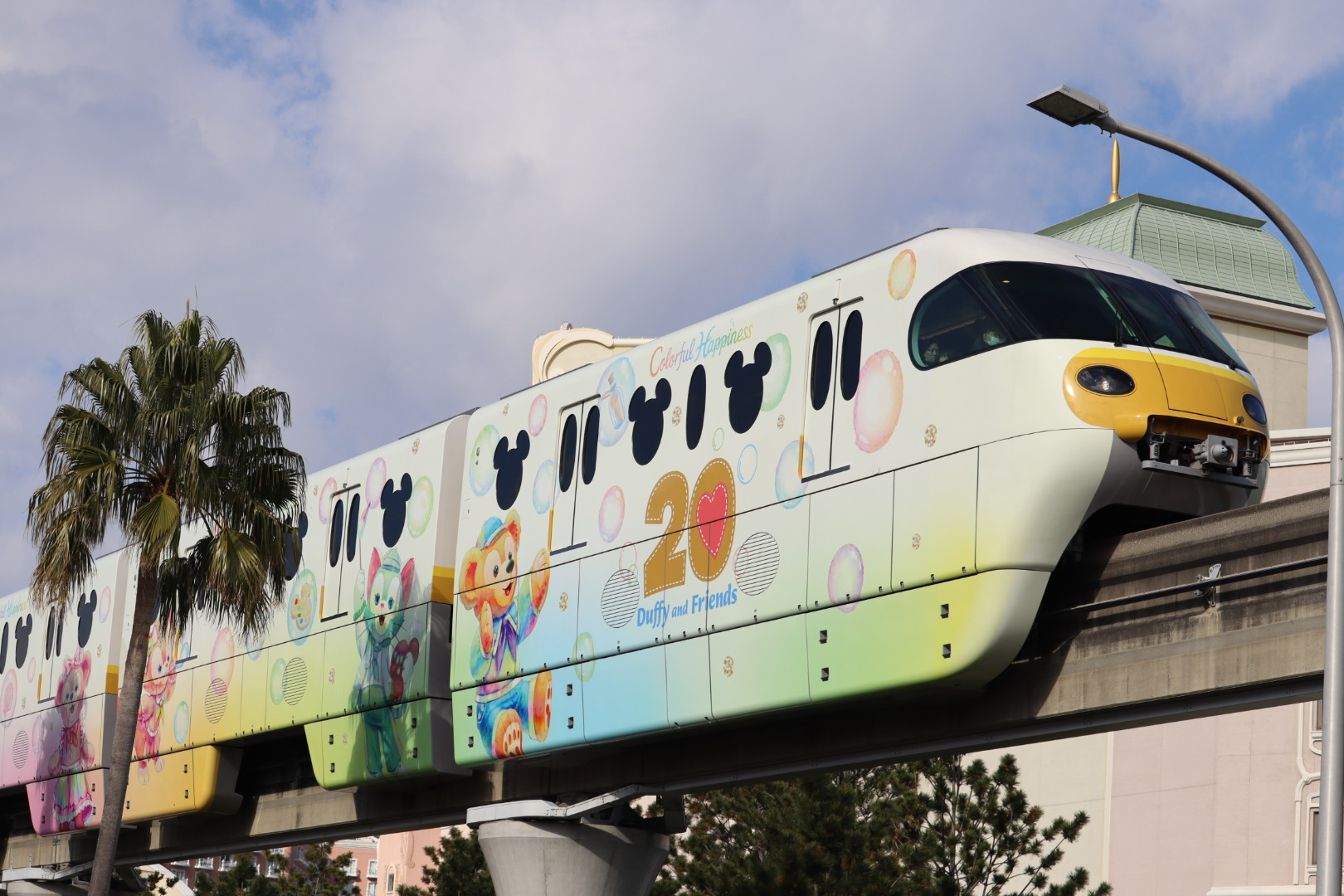 東京　白鳥教室　2025年12月分