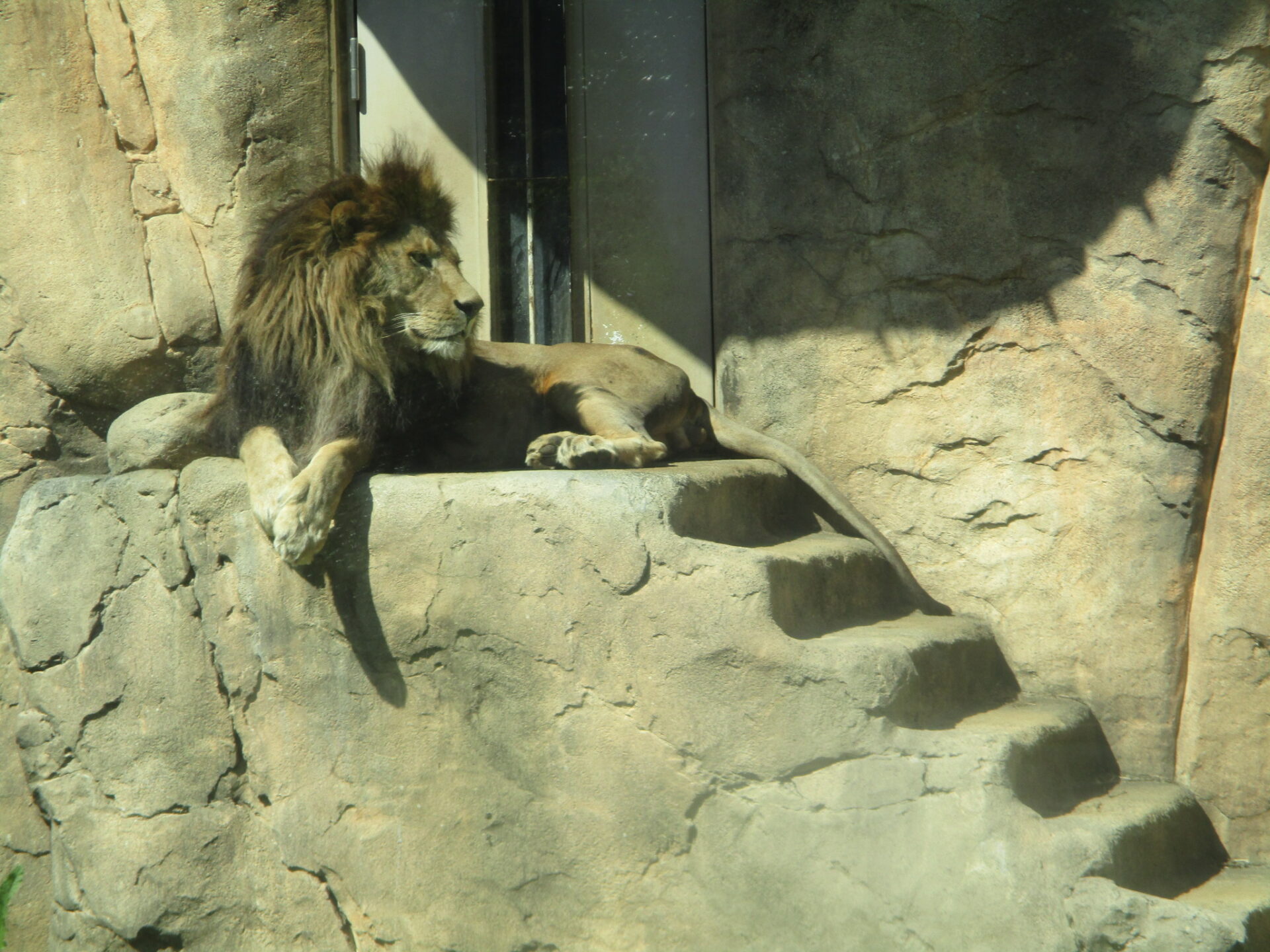 2026/04/28　江戸川教室